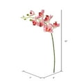 thumbnail image 2 of Vickerman 35" Pink Real Touch Orchid Artificial Floral Stem, 2 of 3