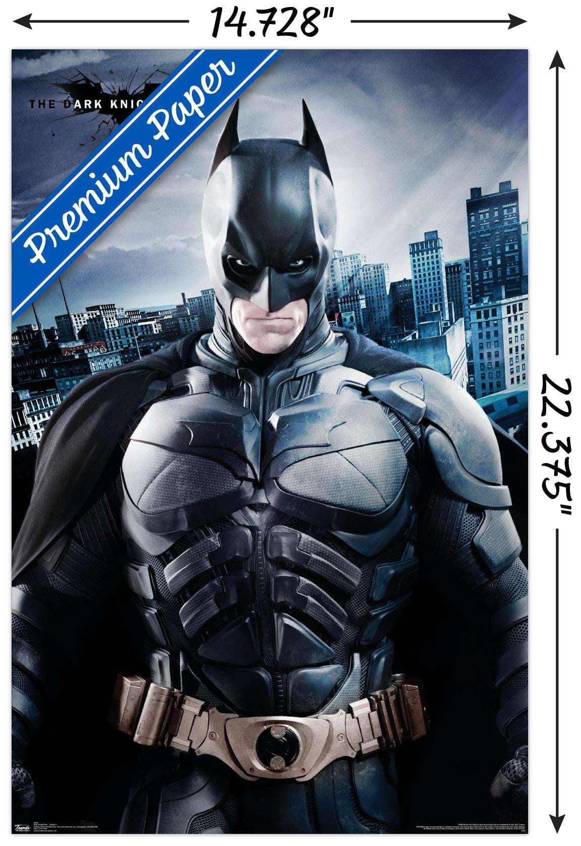 DC Comics Movie - The Dark Knight Rises - Batman - The Caped Crusader Wall Poster, 14.725" x 22.375"