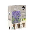thumbnail image 1 of TASC GEED PLIGS - LAVENDEN (6 / PKG), 1 of 1