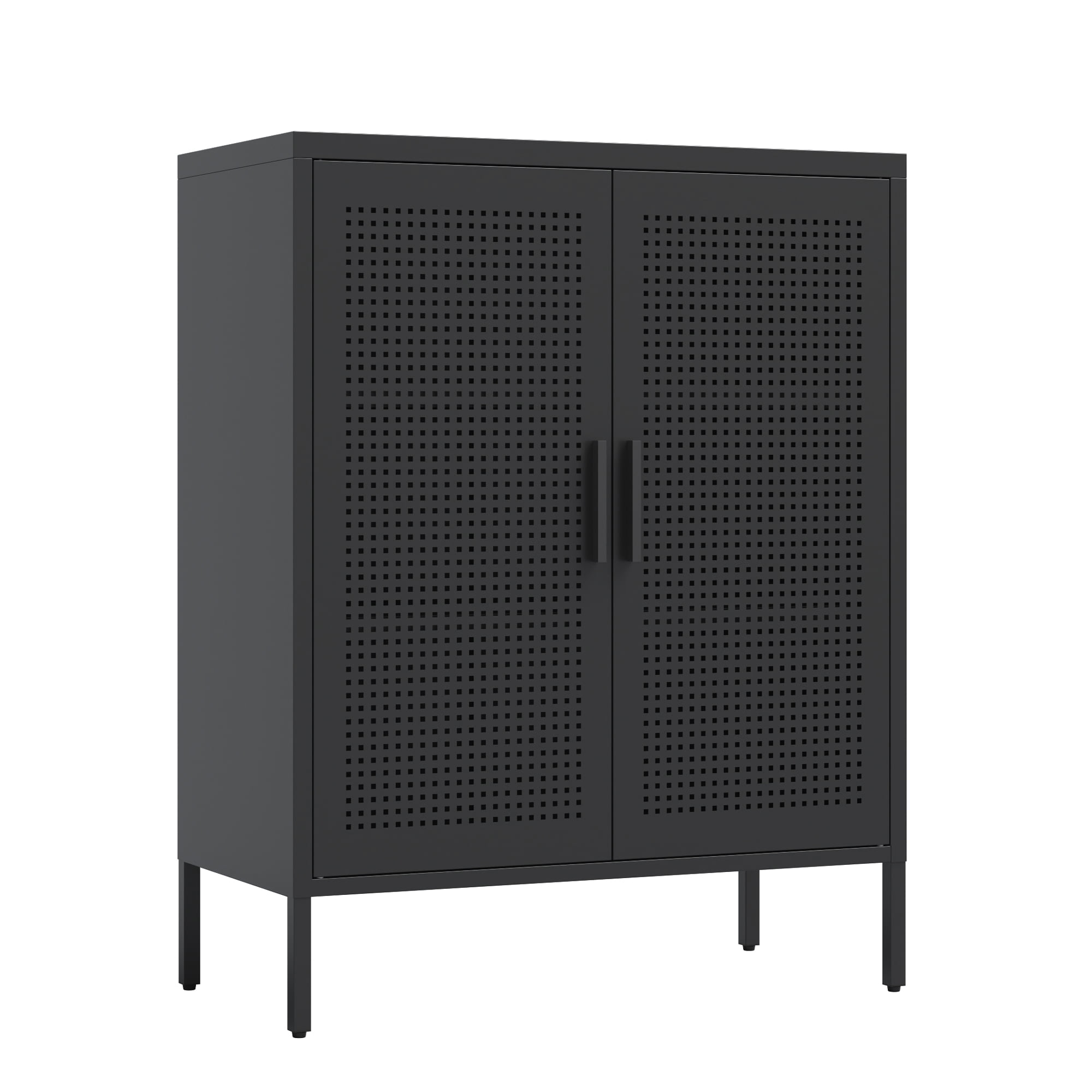 Metal Storage Cabinet with 2 Doors and 2 Adjustable Shelves, Steel Lockable Garage Storage Cabinet, Metal File Cabinet for Home Office School Gym, Black