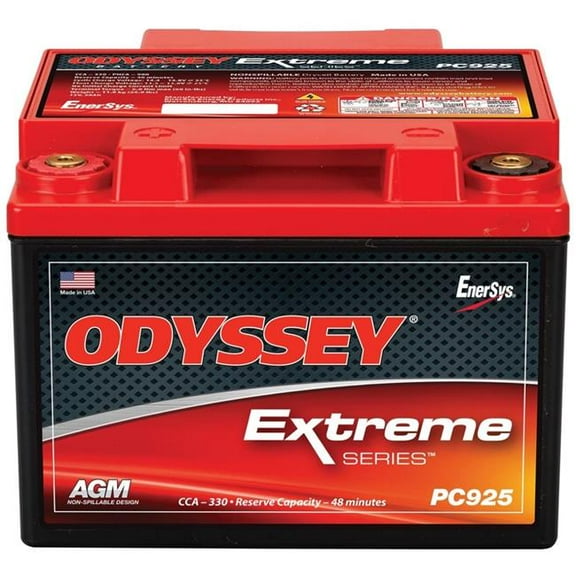 PC925L Powersport Battery Assembly