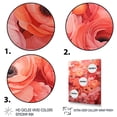 thumbnail image 3 of Designart "Radiant Beauty of Coral Ranunculus" Floral Canvas Wall Art - Traditional Coral Ranunculus Living Room Canvas Art, 3 of 6
