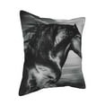 thumbnail image 2 of Bingfone Decorative Pillow Covers 16"X16" Running Horse Couch Pillow Cases Modern Farmhouse Covers For Couch Sofa Bed, 2 of 9