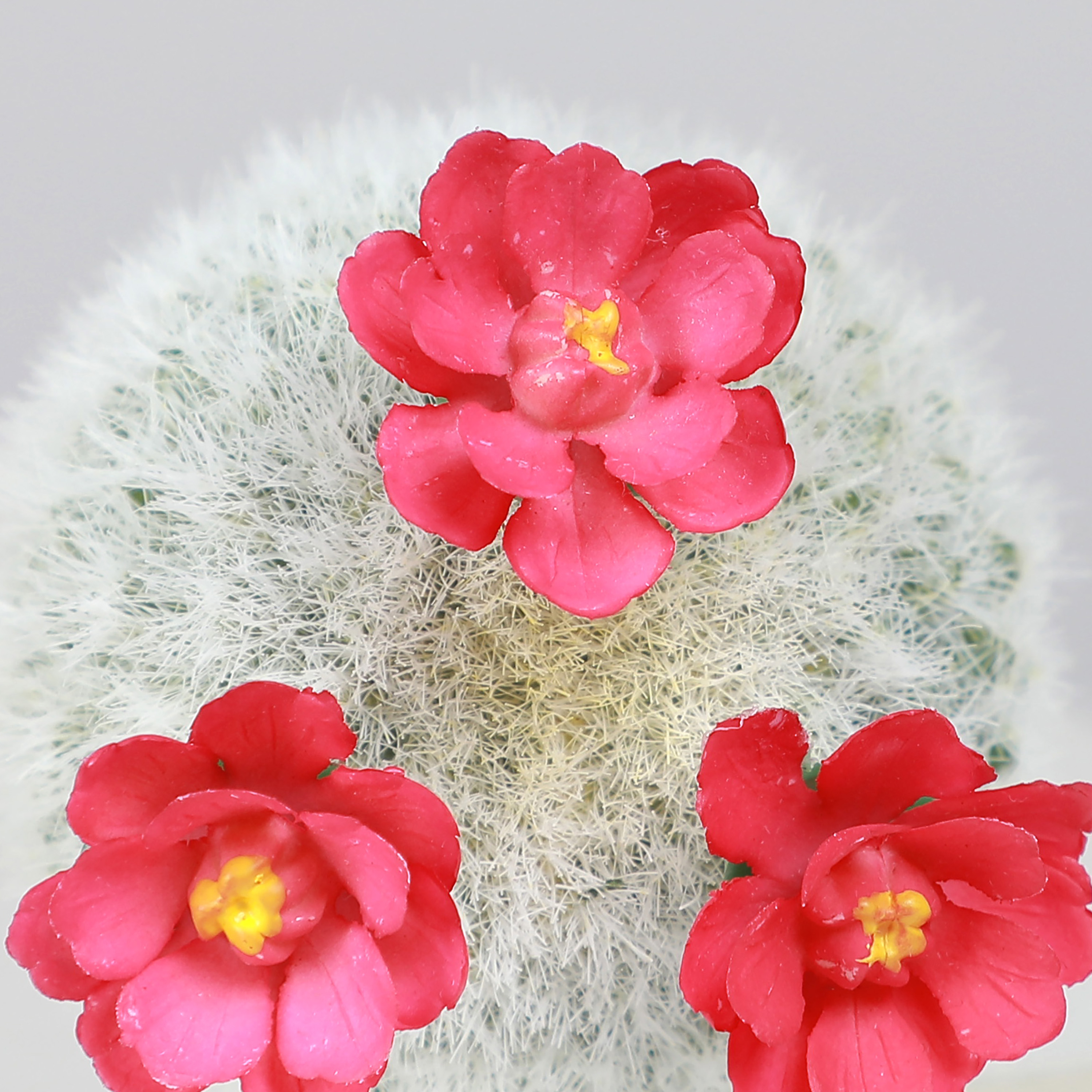 Mainstays 7.6" Artificial Cactus Pick, Green with Hot Pink Flowers