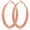 Rose Gold-30mm, variant on Silver Hoop Earrings for Women, Hypoallergenic Lightweight Large Thick Twisted Hoops, 40MM
