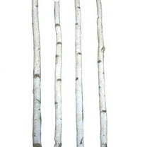 Four Thin White Birch Poles 7 ft