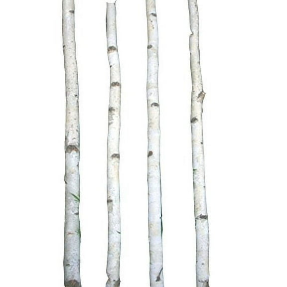 Four Thin White Birch Poles 7 ft