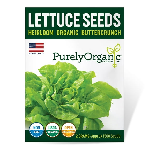 Purely Organic Buttercrunch Lettuce Seeds - USDA Organic, Non-GMO, Open Pollinated, Heirloom, USA Origin, Vegetable Seeds - 2 Grams