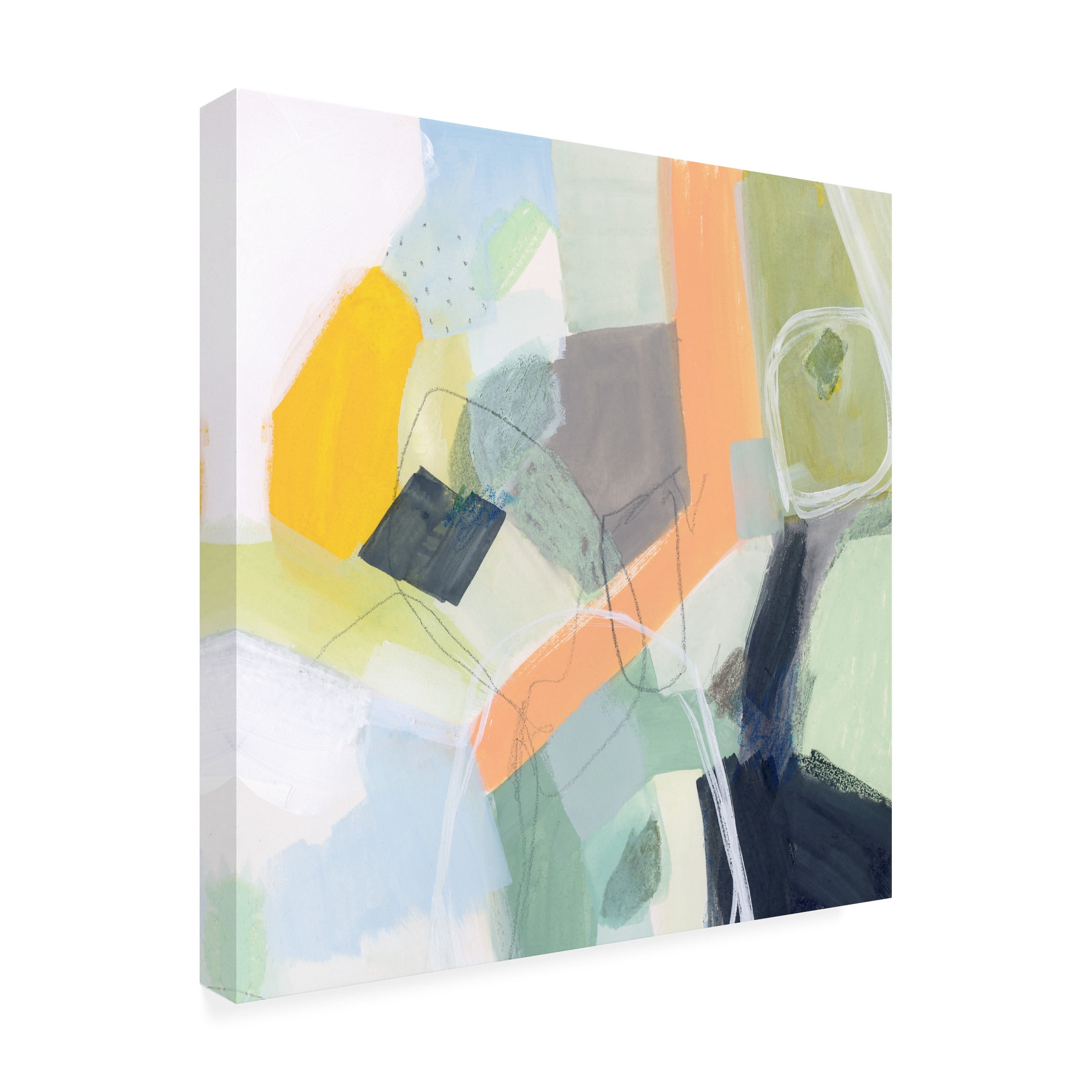 Victoria Borges 'Tumbled Topography II' Canvas Art