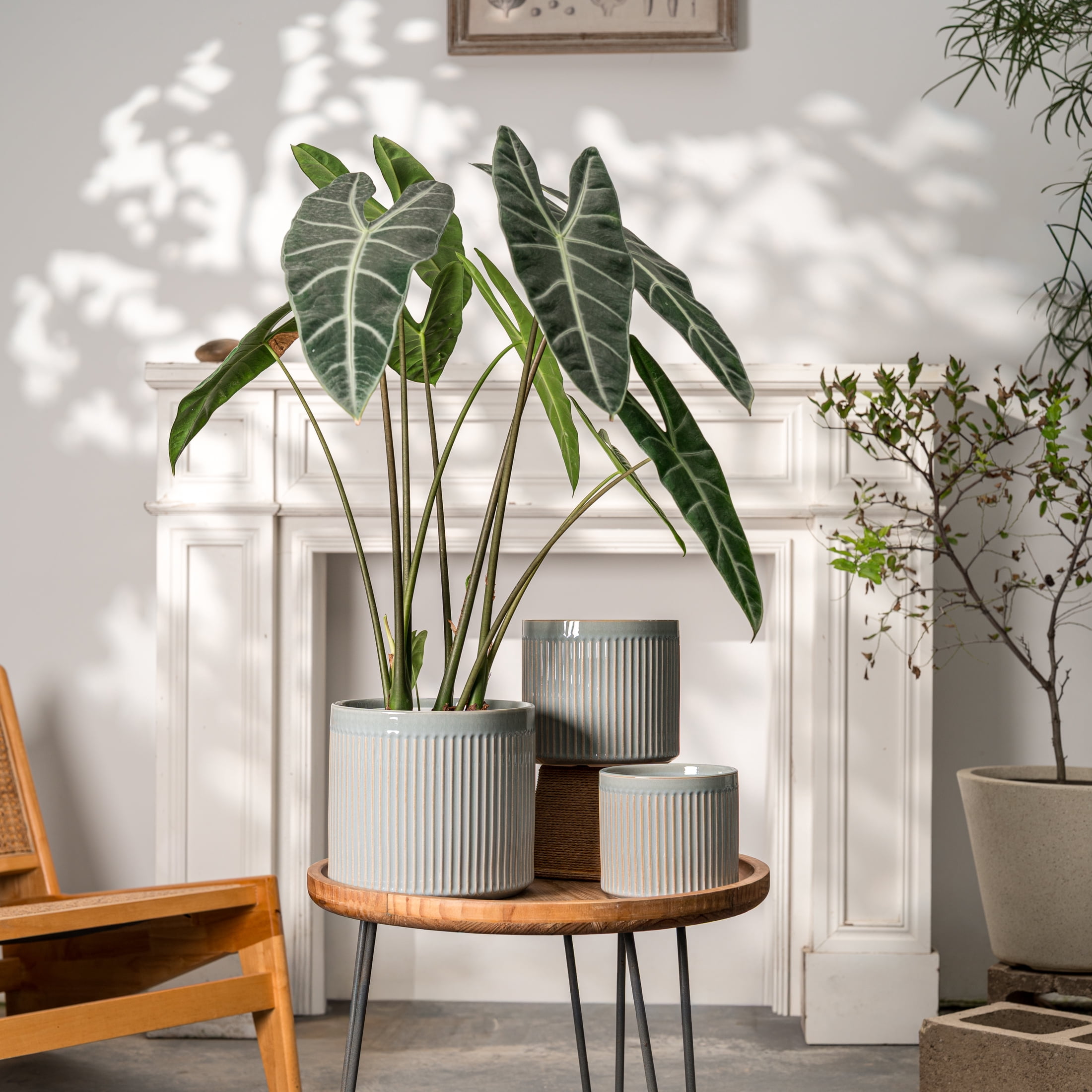UMIAMOY Modern Cylinder Set of 3 Ceramic Flower Pots,5.7+7.0+8.6 inch Plant Pots with Drainage Holes and Saucer,Indoor Outdoor Planters for Home Patio Garden Decoration
