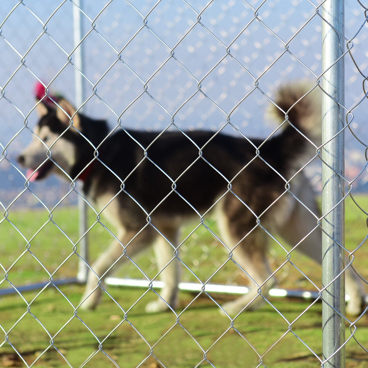 Gymax Large Pet Dog Run House Kennel Shade Cage 7.5' x7.5' Roof Cover