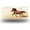 Galloping Brown Horse, variant on Cross with National Motto Front License Plate,Metal License Plate,Funny Standard Plates Personalized Novelty Decorative For Men/Women/Boys/Girls Car 6×12 Inch