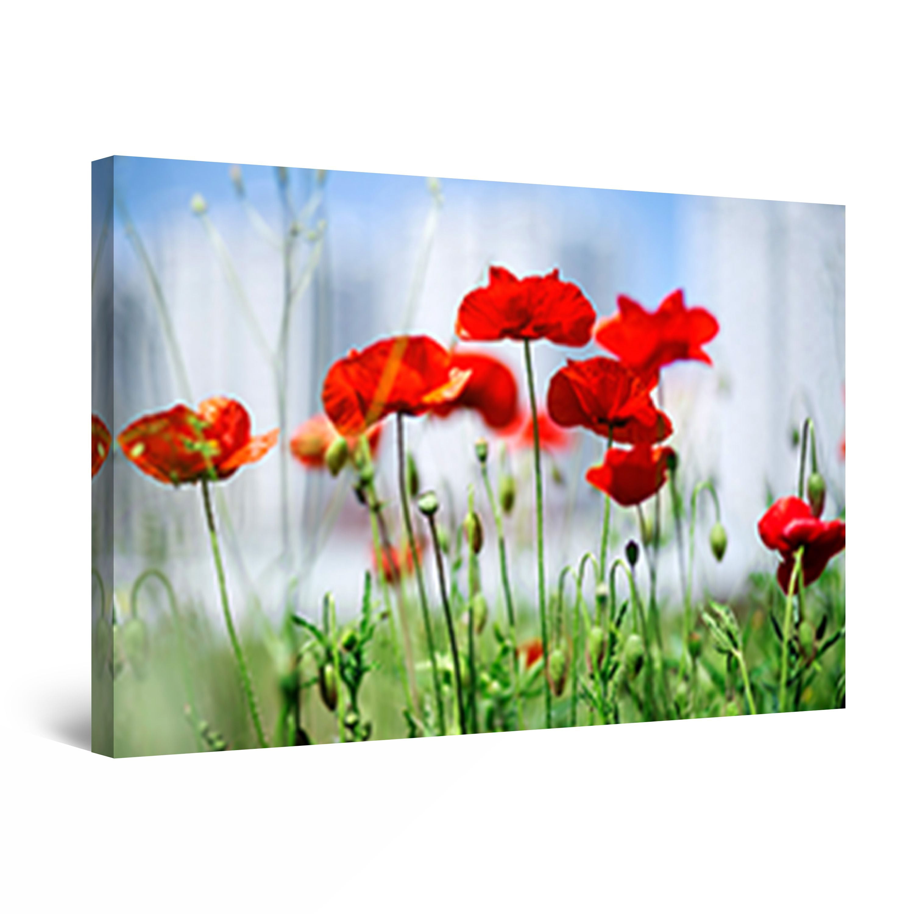 Startonight Canvas Wall Art Abstract Red Poppies Flowers Focus Picture ...