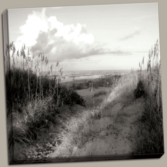 Dunes I Sq. Bw Classy Awesome Black Cool Shore Beach Vintage Beautiful And Sea Canvas 12x12