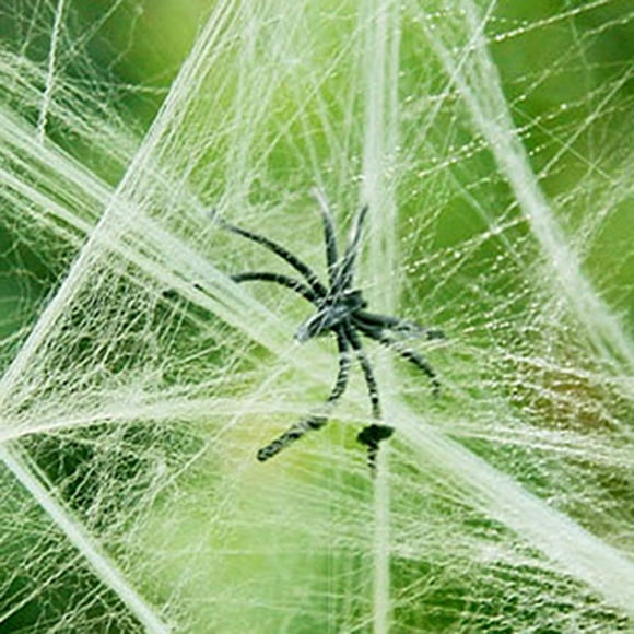 Halloween Stretchy Spider Web Horror DIY Halloween Decoration Cobweb Cobweb Prop for Halloween Scary Party Scene Decoration