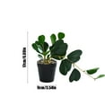 thumbnail image 3 of Twfbrm Artificial Peperomia Leaves Decor, 7 inch Realistic Plastic Peperomia Plants in Terracotta Pot, Real Touch Decorative Greenery Bonsai Faux Potted Plants Indoor for Home Office Desk Shelf, 3 of 6