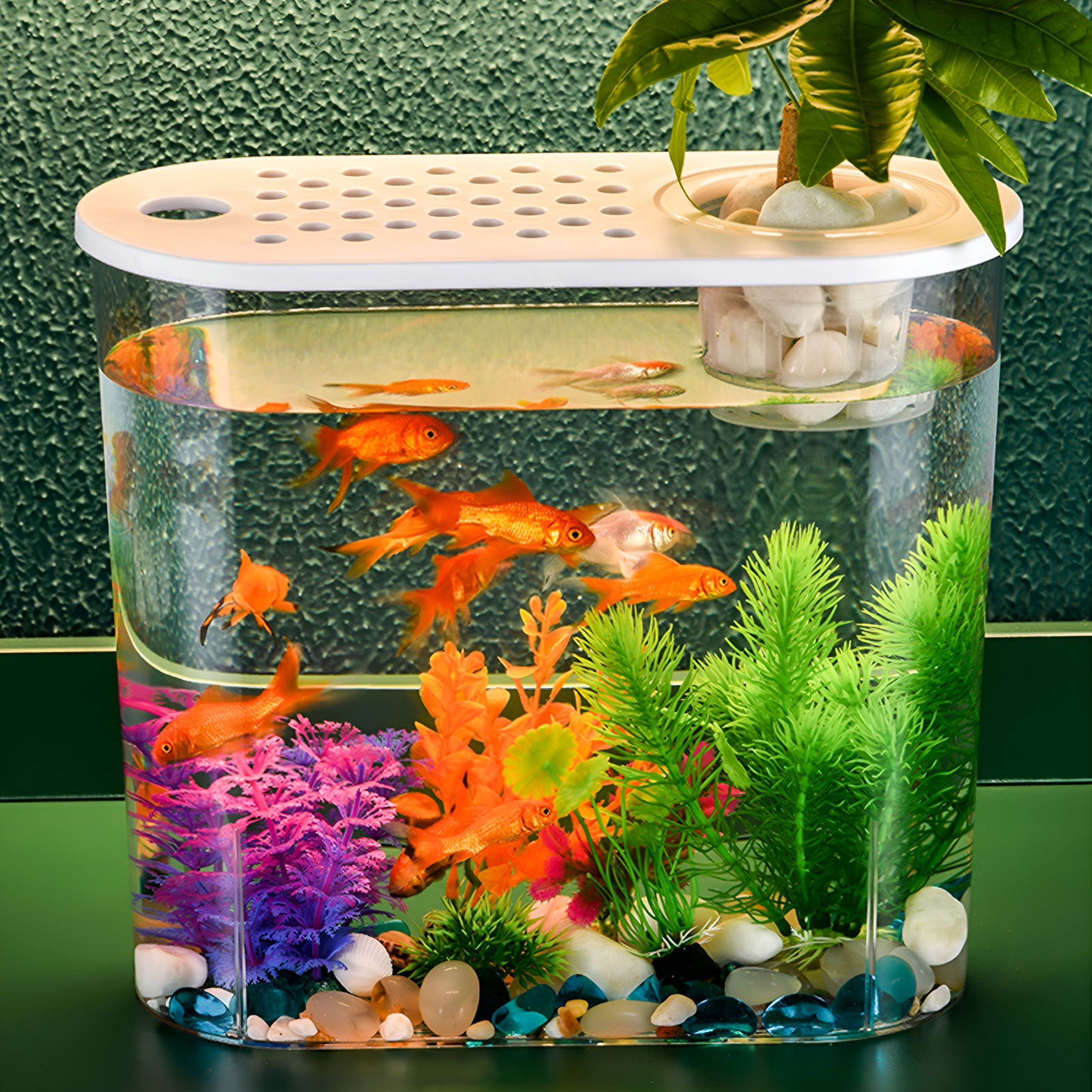 ACDANC Small Fish Tank 2 Gallon Glass Aquarium Starter Kits, Desktop Betta Fish Tank Beta Fish Aquariums with Filter and Light, Room Desktop Decor, Gifts