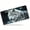 Majestic Wolf Portrait, variant on Majestic Wolf Portrait Funny Personalized License Plate Rust-proof Stainless Steel Metal License Plate Suitable For Men And Women 12.2" x 6.2"