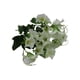 thumbnail image 1 of Cateissary Flor falsa Plantas de plástico Colgante de pared Calcomanía para deshierbe Decoraciones para exteriores Flores artificiales Tamaño Flores artificiales Blanco, 1 of 6