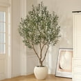thumbnail image 2 of 8ft Artificial Olive Tree with 18 inch White Planter, Tall Fake Olive Trees for Indoor, Faux Olive Silk Tree, Large Olive Plants for Home Decor and Housewarming Gift, 2 of 8