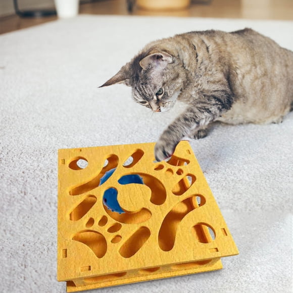 Caja laberinto de inteligencia para gatos