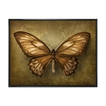 Designart 'Ancient Butterfly In Earth Tones' Vintage Framed Canvas Wall Art Print