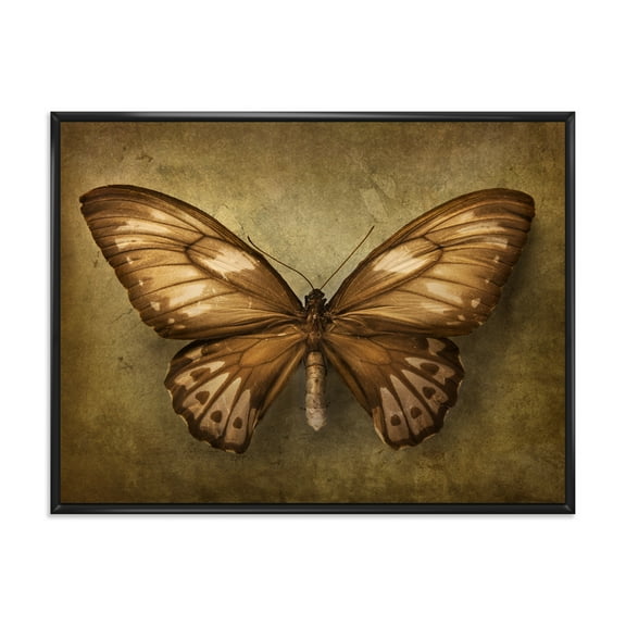 Designart 'Ancient Butterfly In Earth Tones' Vintage Framed Canvas Wall Art Print