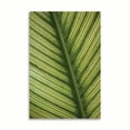 thumbnail image 2 of Gango Home Decor Leaf Detail 1 by Erin Berzel (Printed on Paper); One 24x36in Fine Art Paper Giclee Print, 2 of 4