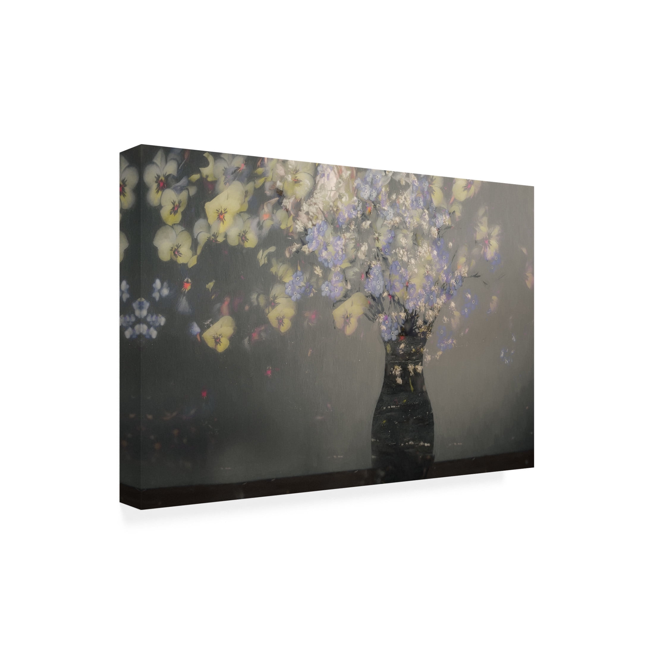 Canvas Wall Art - Nel Talen 'Home Sweet Home ' Wall Art for Living Room, Bedroom, or Office Décor by Trademark Fine Art - 24 x 16 Inches