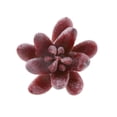 thumbnail image 4 of Artificial Mini Lotus Grass Flor Planta Jardín Decoración Soledad Suculento artificial, 4 of 5