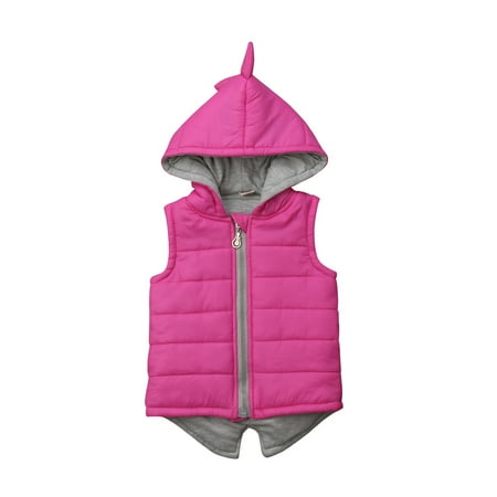 

Qtinghua Toddler Baby Girl Boy 3D Dinosaur Fleece Zip Front Hoodie Jacket Waistcoat Vest Sleeveless Winter Outwear Pink 6-12 Months