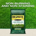 thumbnail image 4 of Ironite By Pennington Mineral Lawn Supplement 1-0-1 3Lb, 1m, 4 of 9