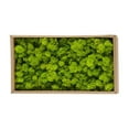 thumbnail image 1 of Mousse Décorative Préservée Durable Naturelle pour Décorations Maison Modélisme, 1 of 13