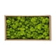 thumbnail image 1 of Musgo Decorativo Preservado Musgo Preservado Natural Duradero Para Decoración Del Hogar Fabricación De Modelos ANGGREK Otros, 1 of 8