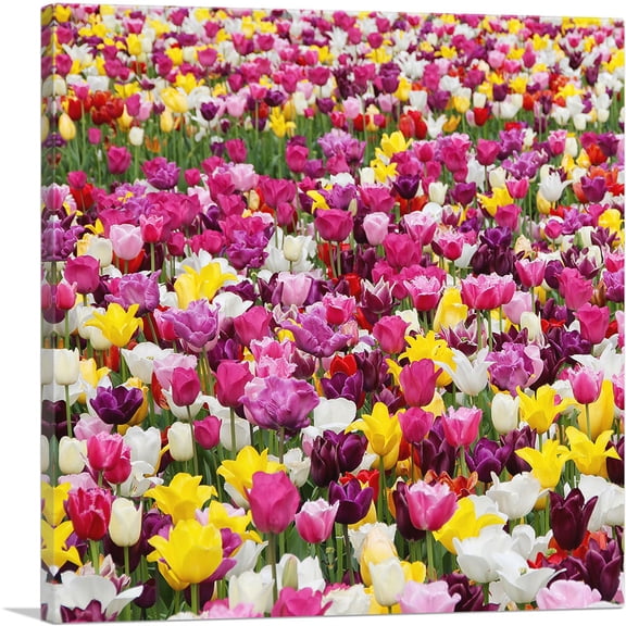 ARTCANVAS Tulips Pattern Home Decor Square Canvas Art Print - Size: 12" x 12" (0.75" Deep)