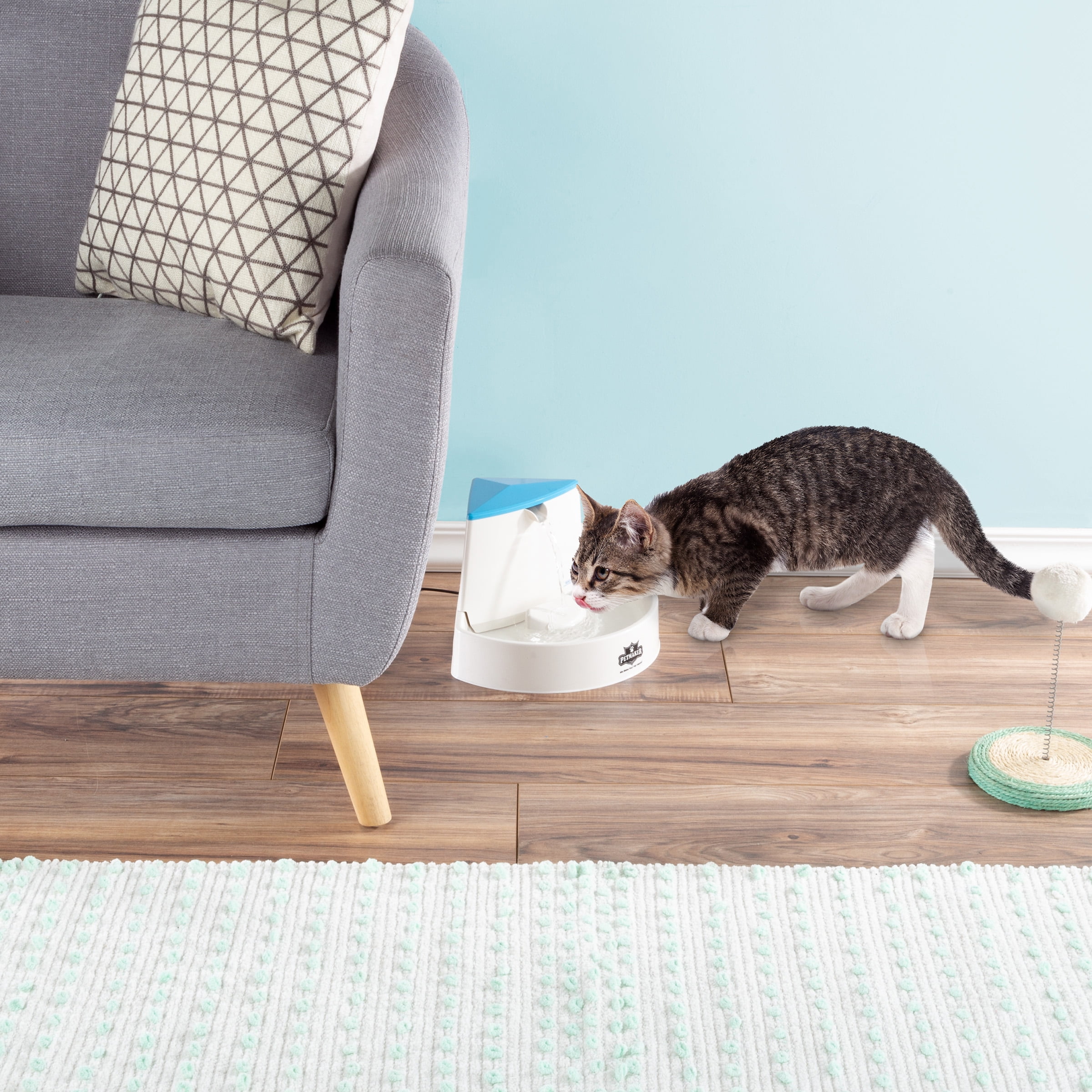 2 Liter Water Fountain for Pets ? Automatic Electric Water Dispenser