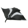 thumbnail image 1 of Miniature Sea Animal Model, Educational Toy Safe Plastic Material Fish Figurine, For Kids, 1 of 8