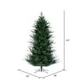 thumbnail image 3 of Vickerman 10' x 68" North Shore Fraser Fir Artificial Christmas Tree, Unlit, 3 of 4