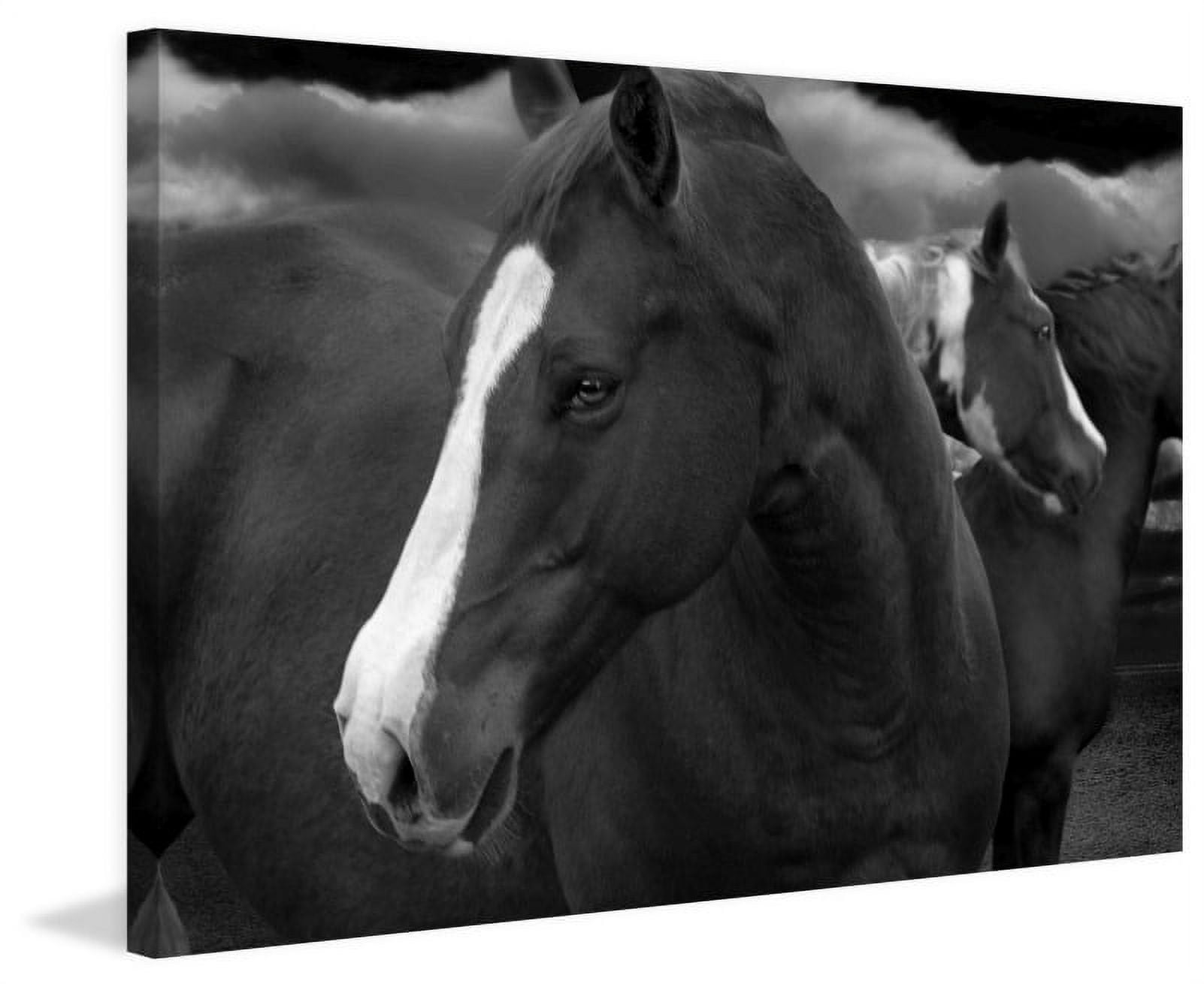 Marmont Hill "Look Out" by Maggie Dee Painting Print on Canvas