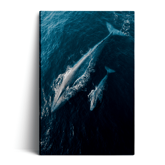 Topbout Art Deep Blue Deep Sea Humpback Canvas Wall Art Bathroom Office 12*8 inch