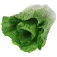 thumbnail image 5 of 1 Set Artificial Vegetable Fake Lettuce Food Prop Simulation Food Model, 5 of 5