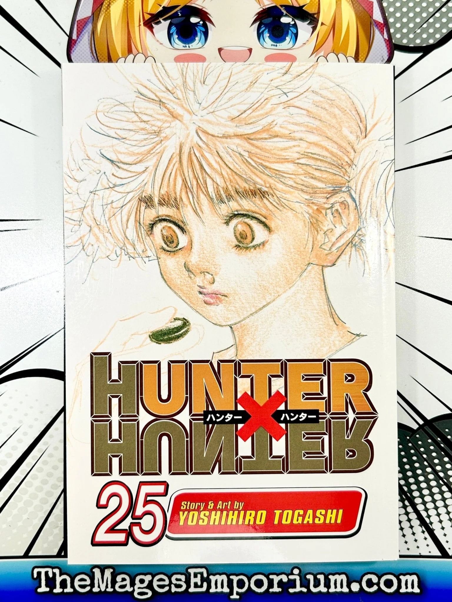 Hunter X Hunter: Hunter x Hunter, Vol. 25 (Series #25