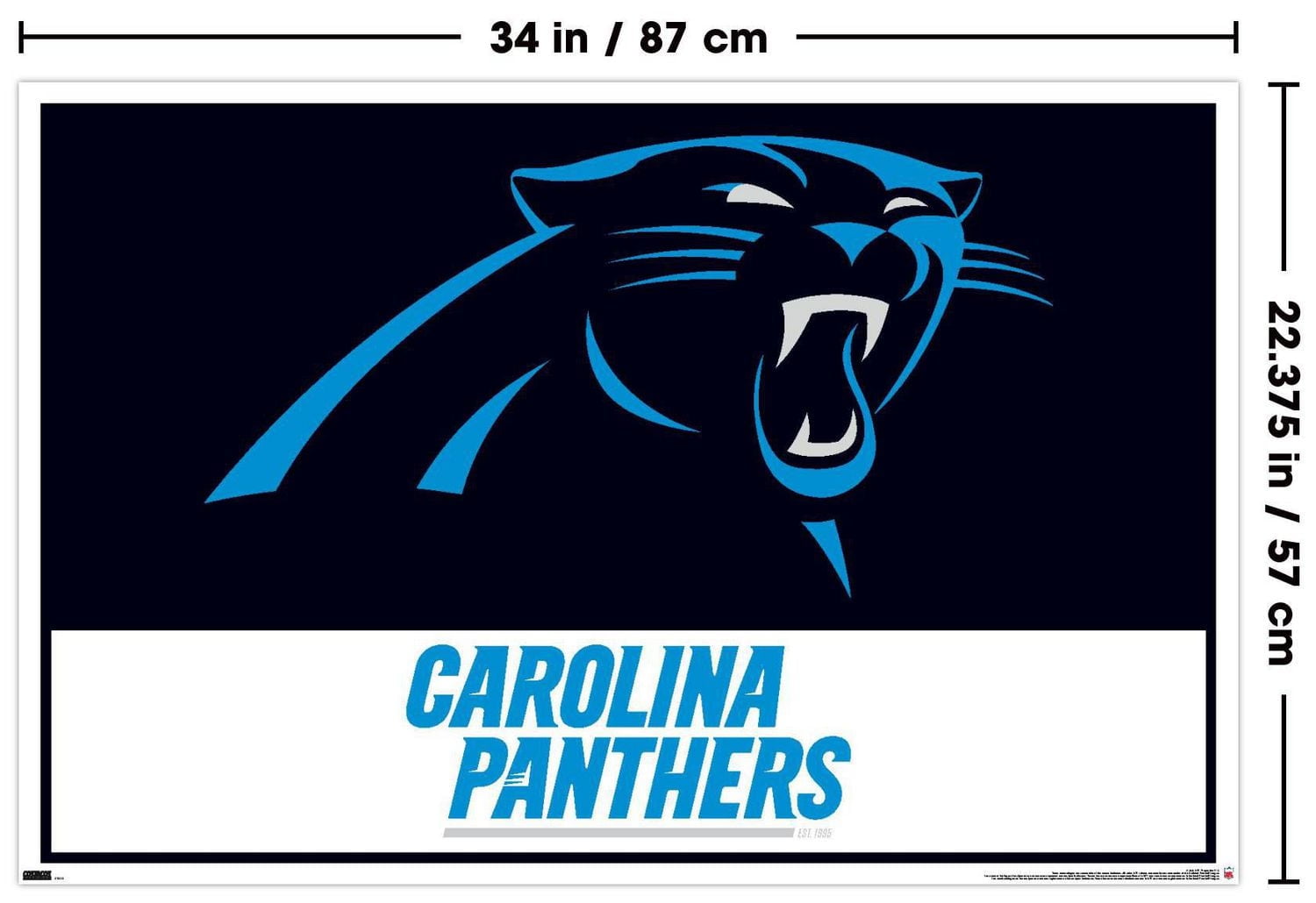Logo 21 des Panthers de la Caroline de la NFL