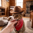 thumbnail image 5 of Pet Cowboy Costume, Halloween Costumes for Dogs Cats with Hat and Bandana, Western Themed Pet Outfit for Holiday Party Cosplay and Photo Shoots (FlagA), 5 of 7