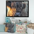 thumbnail image 3 of Designart 'Close Up Of Scottish Cow On Moorland III' Farmhouse Framed Art Print, 3 of 4