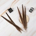 thumbnail image 3 of Natural Sanitized Pheasant Feathers 4-14in - Versatile DIY Craft Feathers for Handmade Projects - Ideal for Home Decor, Wedding Accents, Halloween Costumes & Holiday Ornaments, 3 of 4