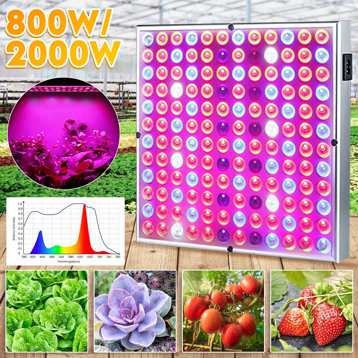 8000W 144 LED Grow Light Hydroponic Full Spectrum Indoor Plant Flower Growing US 