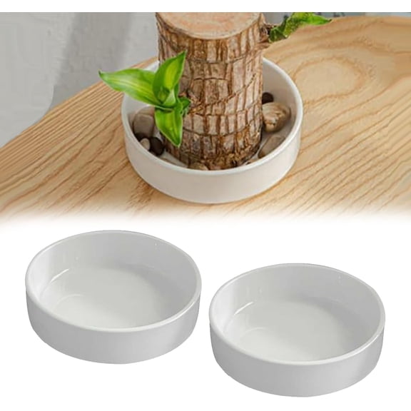 Brazilian Wood Pallet White Ceramic Saucer, Ceramic Plant Tray for Pots, Office Desk Decorations Plant Pot Base Office Decor Brazilian Wood Ceramic Tray, Ideal for Indoor Decoration