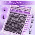 thumbnail image 3 of Kit d'Extension de Cils Shiqi Kit de Cils en Grappe 200 Pcs Extensions de Cils Naturels avec Colle et Scellant 6-16MM Grappes de Cils C Curl Cils Individuels avec Grappes de Cils Inférieurs, 3 of 4