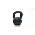 Tru Grit Fitness 25 lb Cast Iron Kettlebell Weight